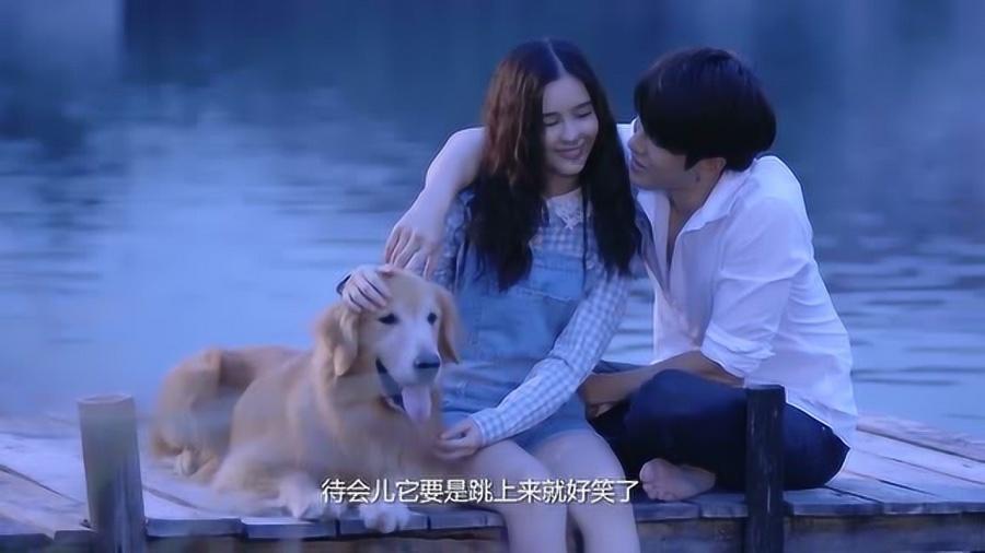 聚力筑巢引凤 推动“四链”融合