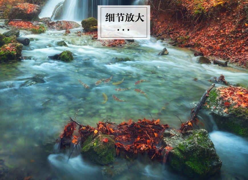 《话说塑料》第十六讲即将开讲