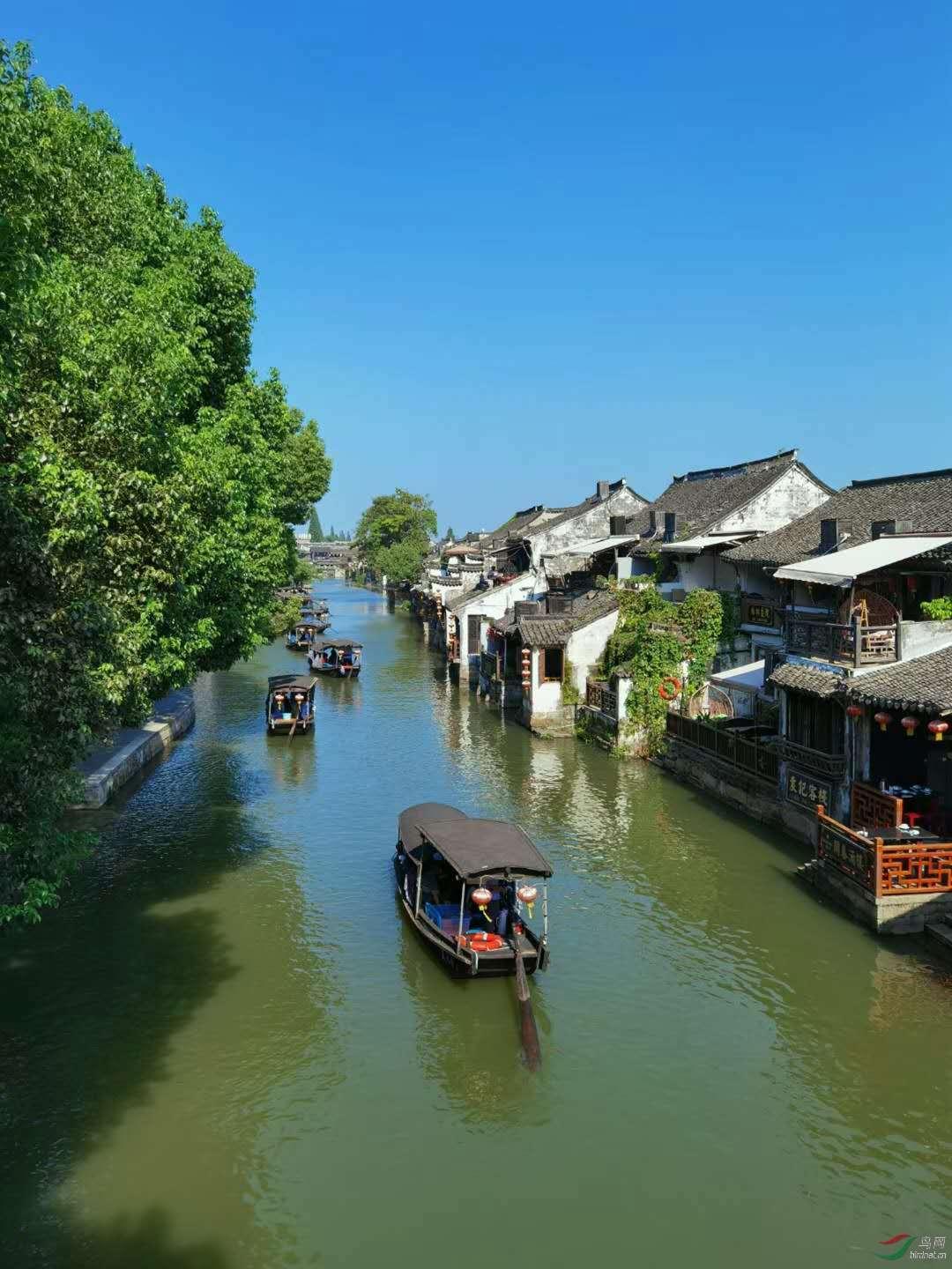 春雨直播app